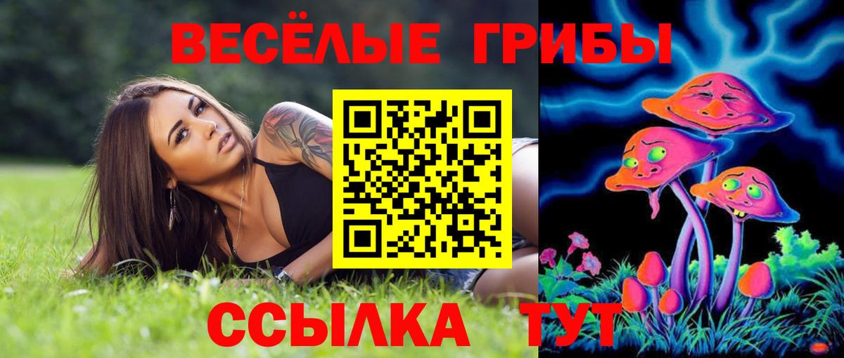 Псилоцибиновые грибы Cubensis Чита