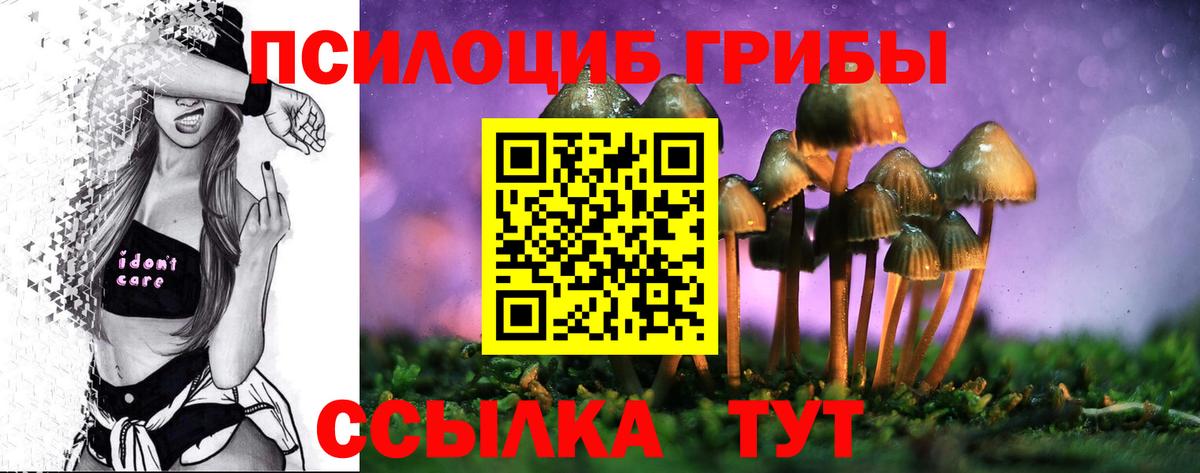 Чита  Галлюциногенные грибы Psilocybine cubensis  Вход с VPN 